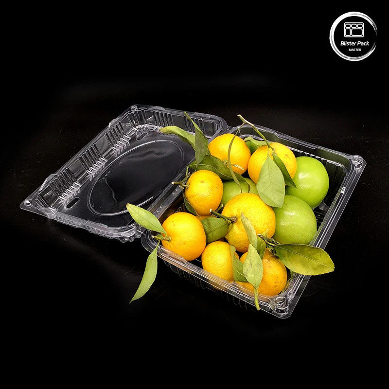Plastikschalen für Obst und Gemüse Aufbewahrungsbehälter