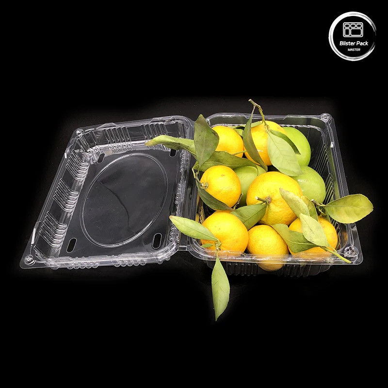 Plastikschalen für Obst und Gemüse Aufbewahrungsbehälter