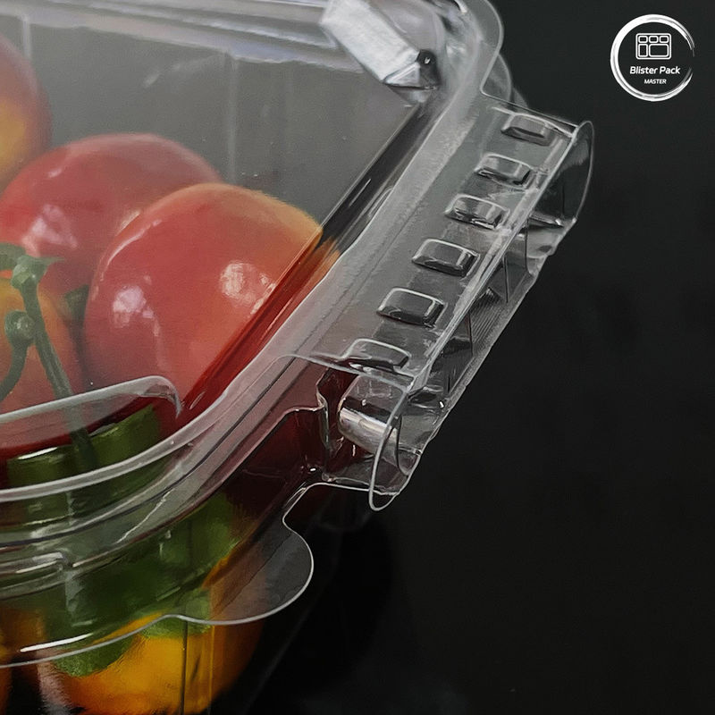 Umweltfreundliche Salatbehälter für 16 und 24 Oz mit verpacktem Deckel für frische Produkte