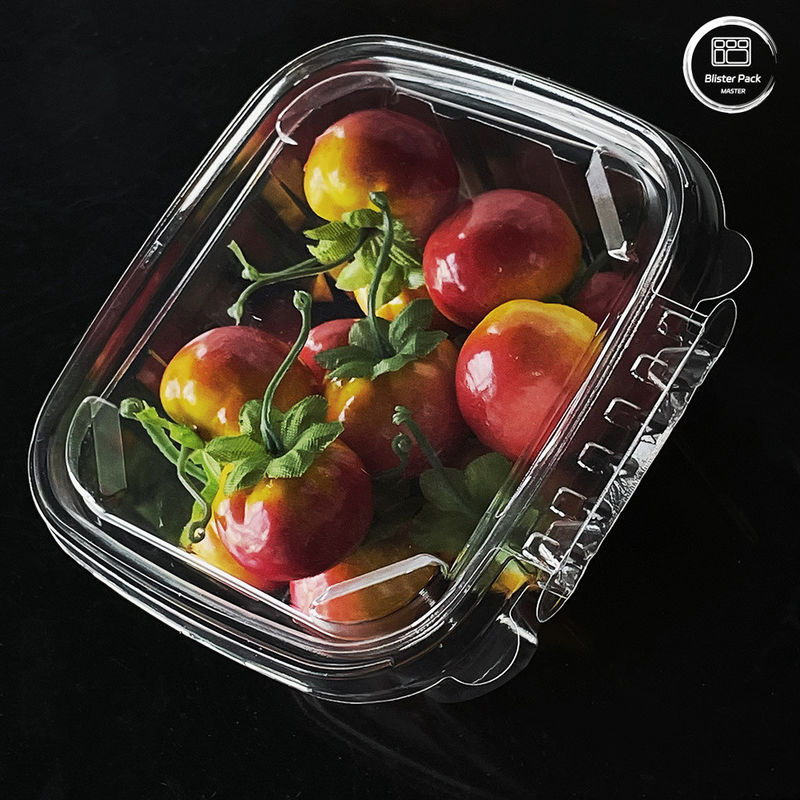 Umweltfreundliche Salatbehälter für 16 und 24 Oz mit verpacktem Deckel für frische Produkte