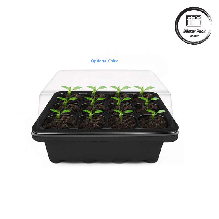 Stylische Gartendekoration Innenraum starre Plastik-Samenfächer Mikro-Grün-Kinderzimmer-System