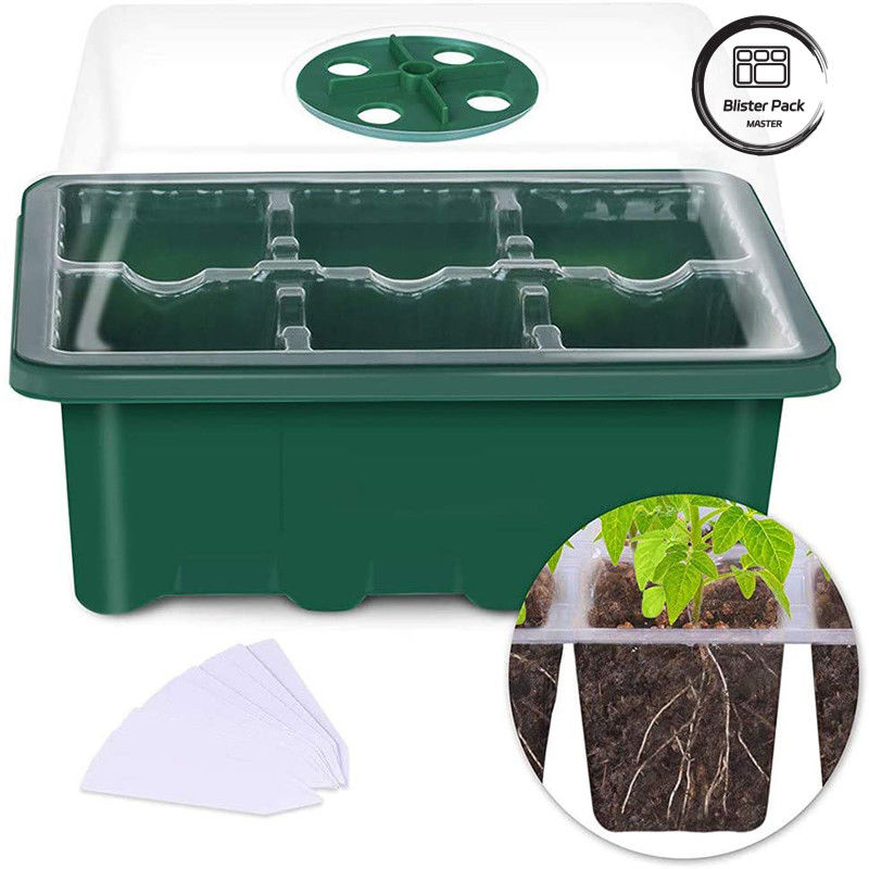 Multifunktionale Innengarten-Kindergarten-Box Plastikpflanzträger / 6 Zellpflanzträger