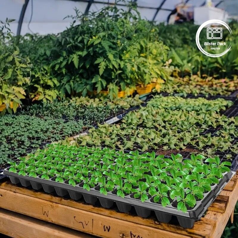 Schwere 128 Zellen Trauben Polystyrol Samenfach Dauerhafte Samen Starter und Sprießkit