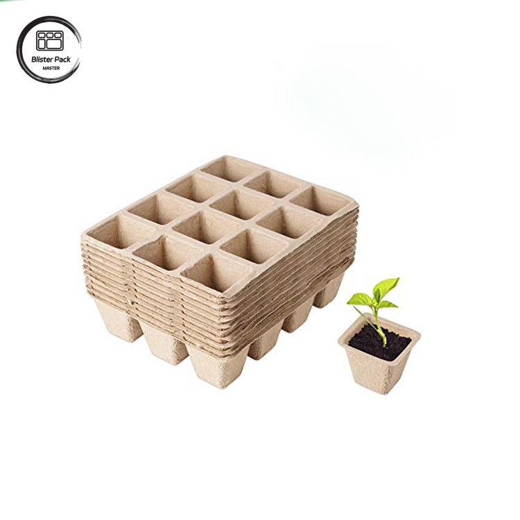 Biologisch abbaubare Zuckerrohrbagasse 12 Zellpflanzen-Treys Starter-Kit für die Saatpflanzung
