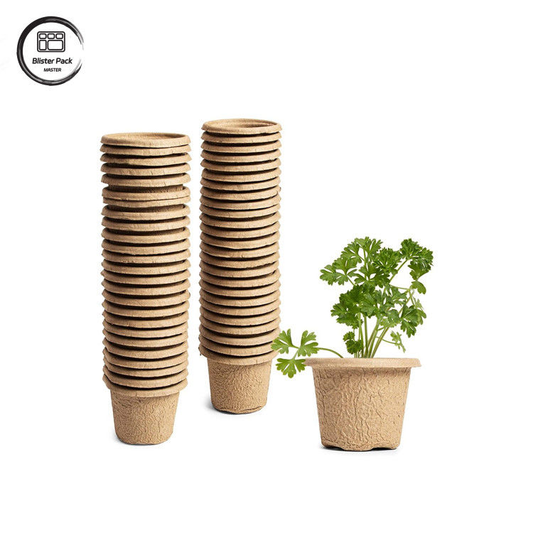 Biologisch abbaubare Zuckerrohrbagasse 12 Zellpflanzen-Treys Starter-Kit für die Saatpflanzung