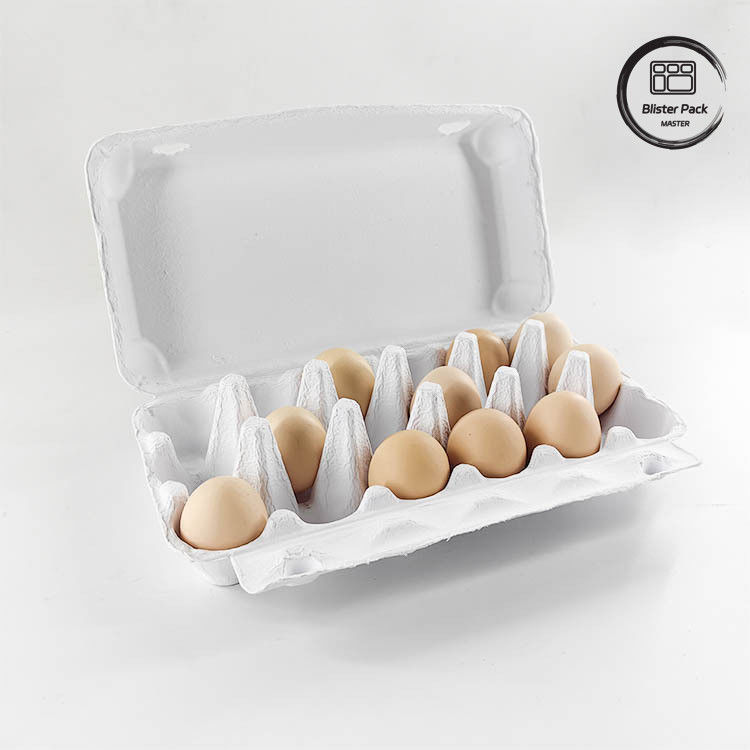 Verpackung für Quaileneier 12 6 4 Papiermasse Karton für Hühnereier