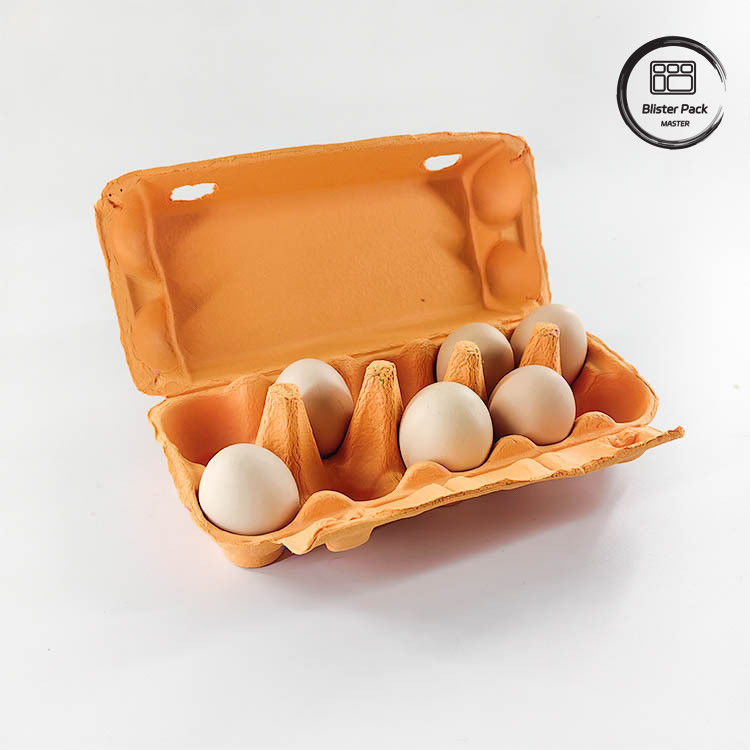 Verpackung für Quaileneier 12 6 4 Papiermasse Karton für Hühnereier
