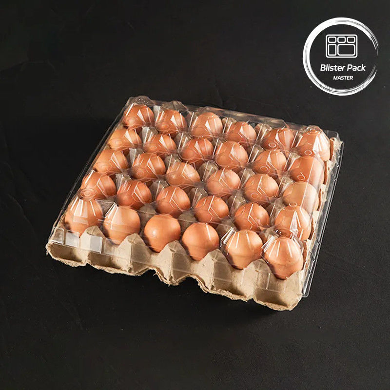 20/24/30 Zell-PET-Klar-Kunststoff-Eier-Blasen-Tablett Einweg-Küken-Eier-Verpackung mit Deckel