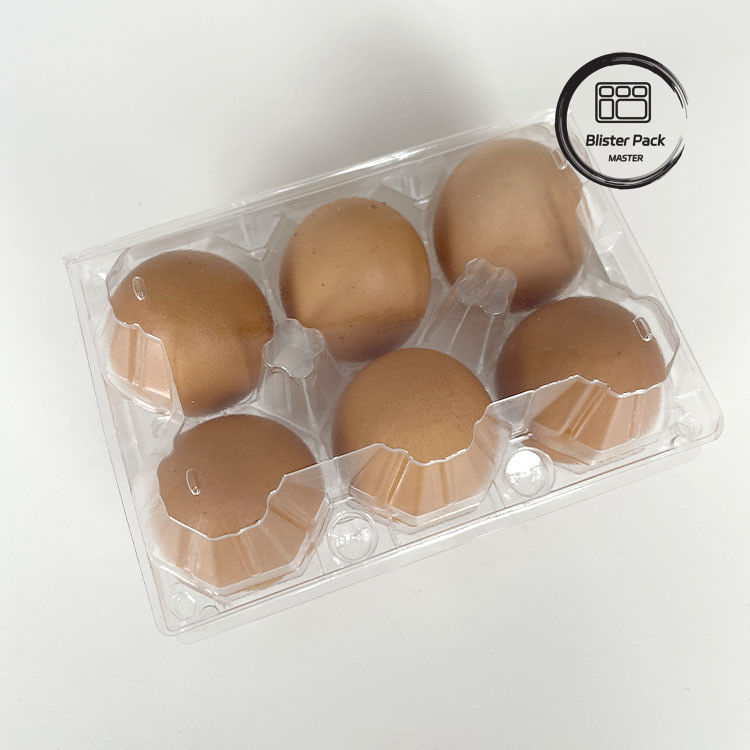 6 Verpackung Plastik-Eierkartons Dauerhafte Eierverpackungskisten für eine sichere Lagerung