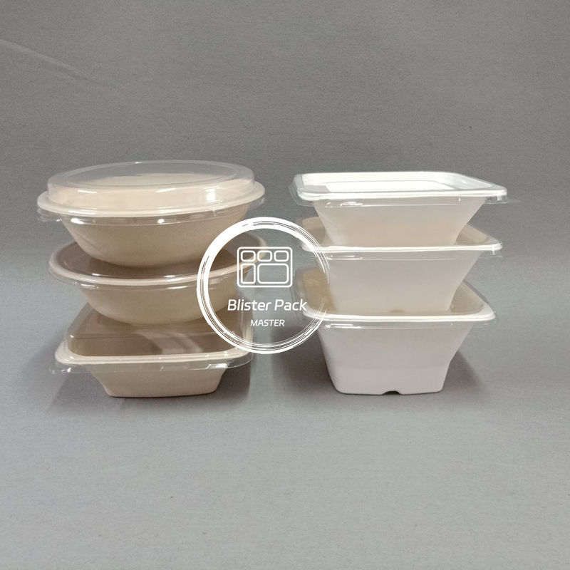 PFAS-freie biologisch abbaubare Zuckerrohrbagasse Schalen Einweg-Suppen und Salat Schalen 8oz bis 32oz