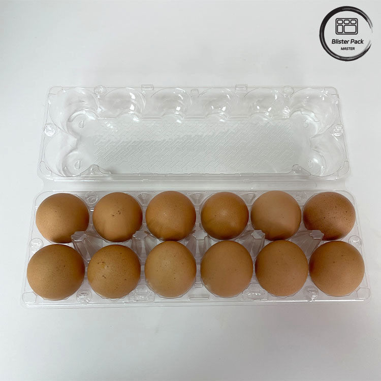 12 Zählen Wiederverwendbares Hühner-Ei-Plastik-Blister-Tray Thermoforming-Tray für Lagerung und Transport