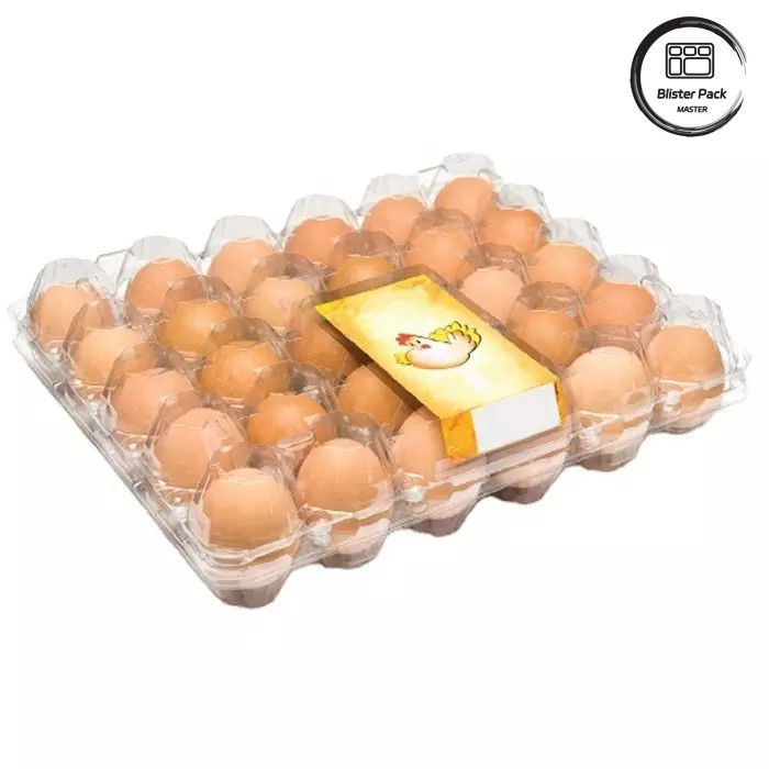 Zusammengestellte Größe PET-Ei-Blister-Tray Einweg-Vakuum-geformte Kunststoff-Trays