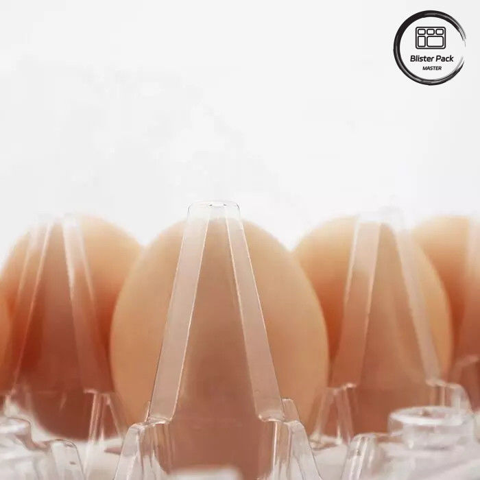 Zusammengestellte Größe PET-Ei-Blister-Tray Einweg-Vakuum-geformte Kunststoff-Trays