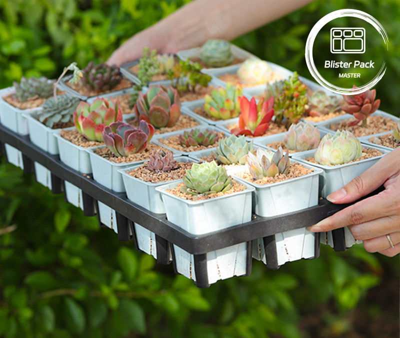 Dauerhafte Kunststoffpflanzendeckel 24 Löcher Sukkulente Pflanzerei Topf Anbau Tray für den Garten