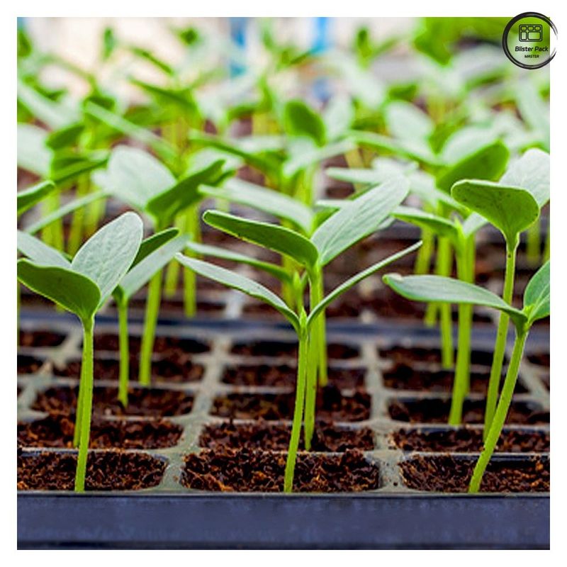 Dauerhafte Plug-Seed Trays für die Pflanzenvermehrung, 28/32/50/72/105/128/200/288 Zellpflanzerei-Samen Trays