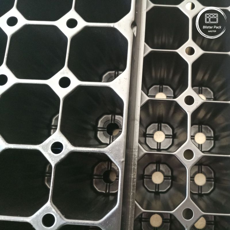 Großhandel 72-Zell Plug-Seedling-Tray, langlebige Kunststoff-Trays für Sprießen und Vermehrung